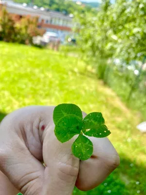 Nález #2 – ZLÍN_JSVAHY-SNP000