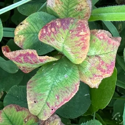 Find #10578