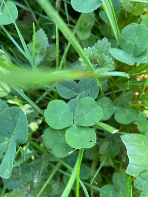 Nález #174 – ZLÍN_JSVAHY-NSTR002