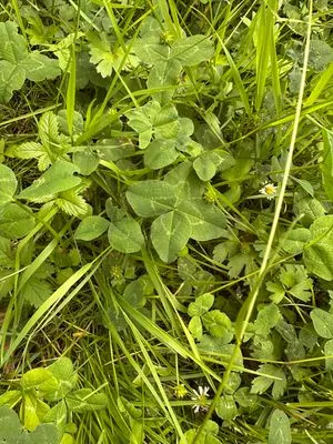 Find #21826 – ZLÍN_JSVAHY-BUDOVATELSKÁ002