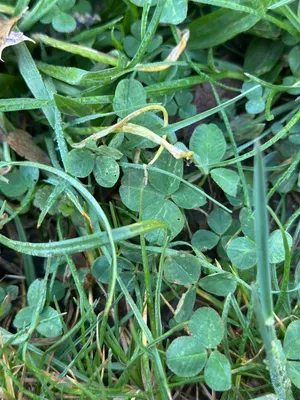 Nález #16944 – ZLÍN_JSVAHY-NSTR-T007