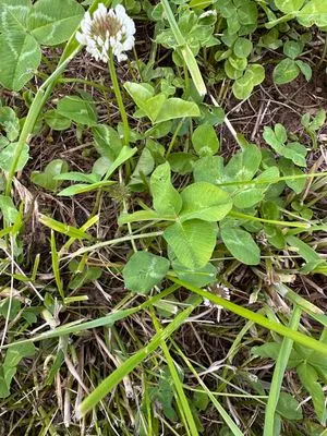 Nález #21762