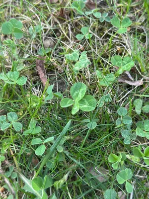 Nález #16908 – ZLÍN_JSVAHY-UTB-U5-001