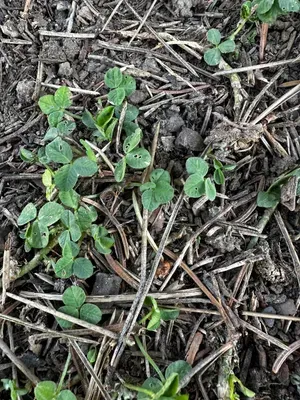 Nález #16091 – ZLÍN_JSVAHY-SPORTOVNÍ001