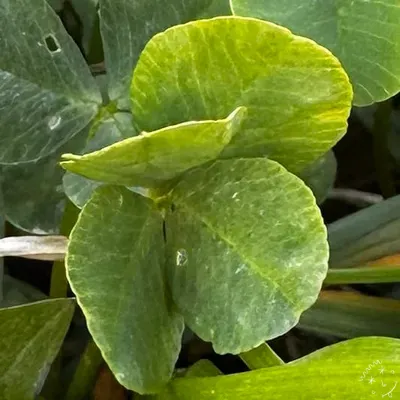 Nález #16257