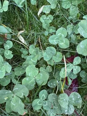 Nález #15484 – ZLÍN_HLUBOKÁ001