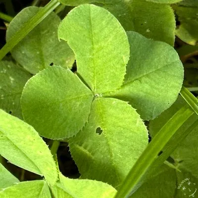 Nález #3080
