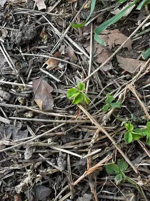 Nález #16098 – ZLÍN_JSVAHY-SPORTOVNÍ001