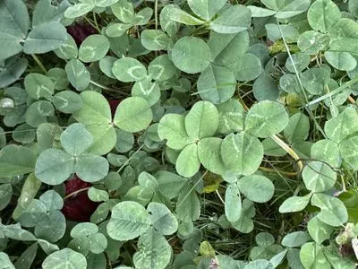 Nález #15493 – ZLÍN_HLUBOKÁ001