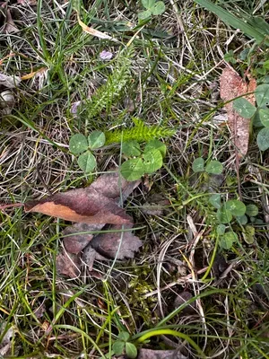 Nález #16652 – ZLÍN_JSVAHY-UTB-U5-001