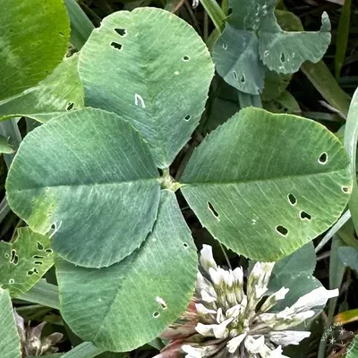 Nález #28005