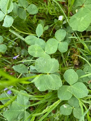 Nález #180 – ZLÍN_ČEPKOV002