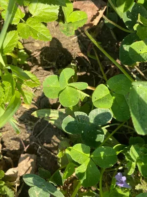 Nález #145 – NEEXISTUJE-ZLÍN_JSVAHY-JAVOROVÁ002