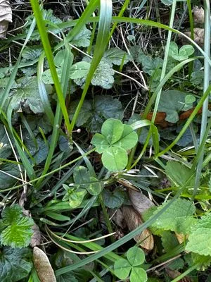 Nález #14760 – ZLÍN_JSVAHY-UTB-U5-Z002