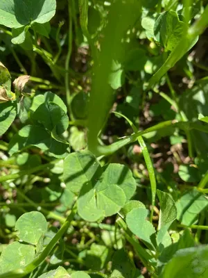 Nález #172 – ZLÍN_JSVAHY-UTB-U5-002b