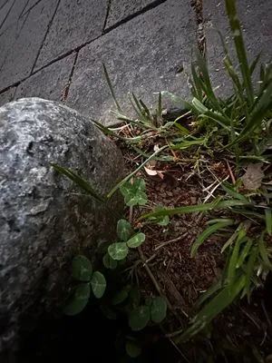 Nález #18002 – NAGASAKI002_MATSUYAMAMACHI