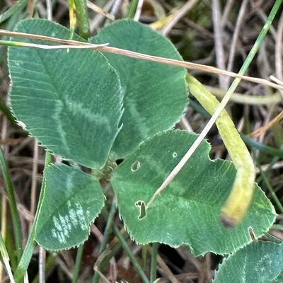Nález #3929