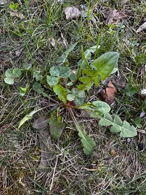 Nález #16331 – ZLÍN_JSVAHY-UTB-U5-001