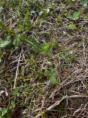 Nález #16653 – ZLÍN_JSVAHY-UTB-U5-001