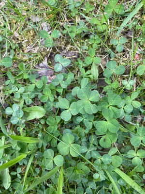 Nález #103 – ZLÍN_VAVREČKOVA001