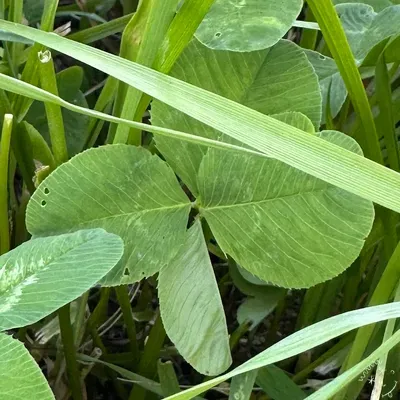 Nález #22300