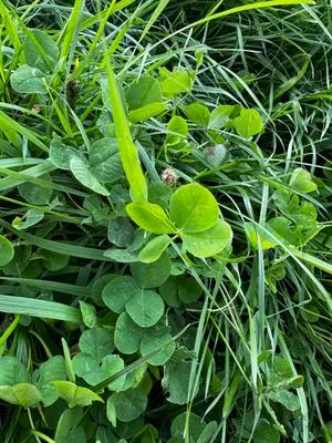 Nález #15051 – ZLÍN_UNIVERZITNÍ001