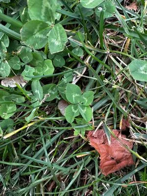 Nález #15157 – ZLÍN_JSVAHY-NSTR001a