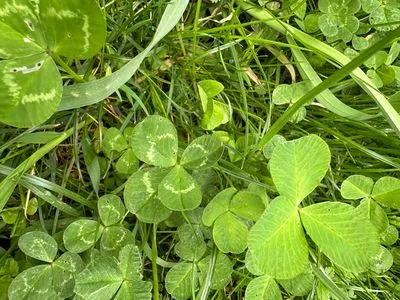 Nález #1264 – ZLÍN_JSVAHY-SLUNEČNÁ4566-002