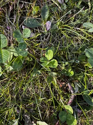 Nález #16608 – ZLÍN_JSVAHY-UTB-U5-001