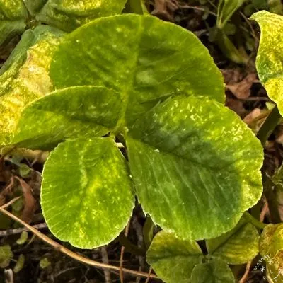 Anonymizovaný nález #18175
