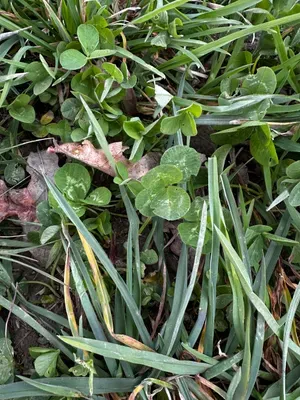 Nález #16438 – RATIBOŘ_POLE001d