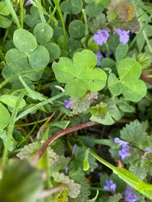 Nález #150 – NEEXISTUJE-ZLÍN_JSVAHY-JAVOROVÁ002