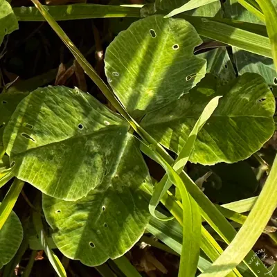 Nález #25772