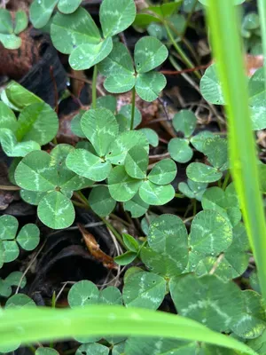 Nález #16925 – ZLÍN_JSVAHY-NSTR003