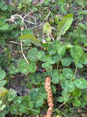 Nález #16938 – ZLÍN_JSVAHY-UTB-U5-001b