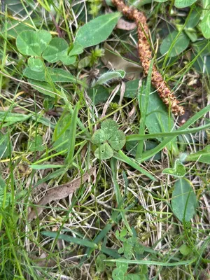 Nález #16933 – ZLÍN_JSVAHY-UTB-U5-001