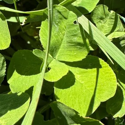 Nález #7534