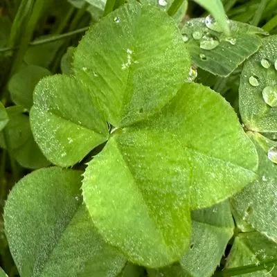Nález #3435