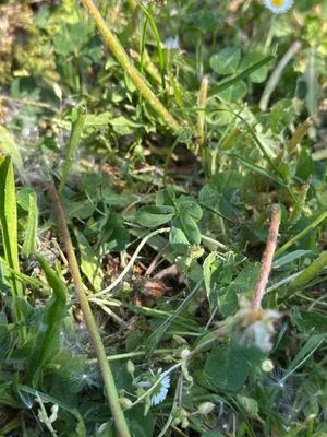 Find #17714 – ZLÍN_JSVAHY-STŘEDOVÁ001