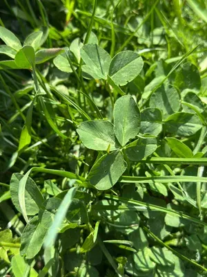 Nález #16936 – BIELSKO-BIALA002