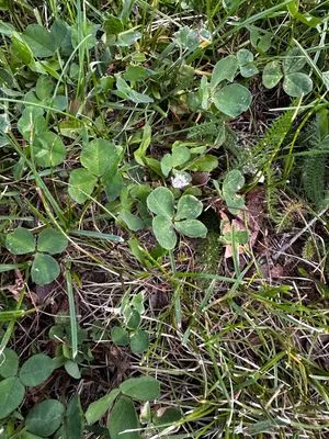 Nález #18173 – ZLÍN_JSVAHY-NSTR-T005