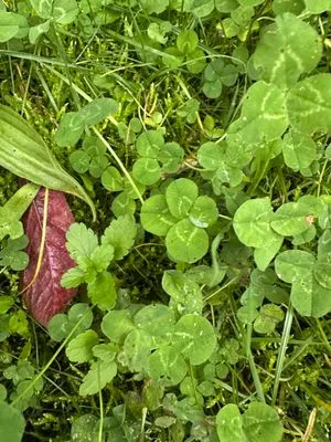 Nález #15490 – ZLÍN_HLUBOKÁ001