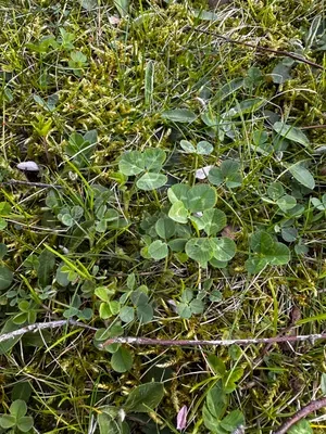 Nález #16333 – ZLÍN_JSVAHY-UTB-U5-001