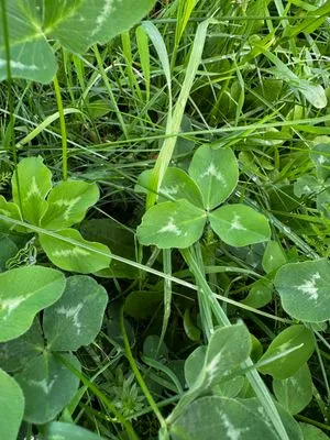 Nález #15148 – PRAHA_PODĚBRADSKÁ001