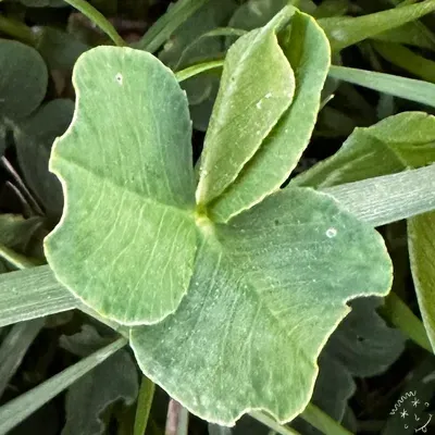 Nález #18618