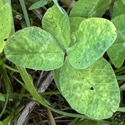 Nález #23380