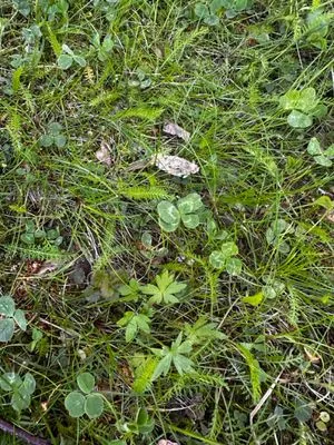 Find #17725 – ZLÍN_JSVAHY-UTB-U5-001