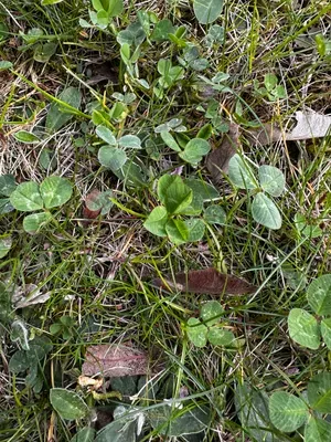 Nález #16651 – ZLÍN_JSVAHY-UTB-U5-001