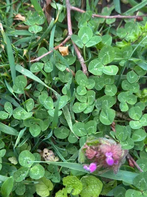 Nález #16919 – ZLÍN_JSVAHY-NSTR-S002