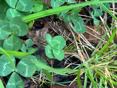 Nález #16922 – ZLÍN_JSVAHY-NSTR003